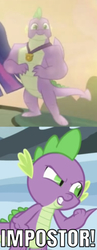 Size: 330x849 | Tagged: safe, edit, edited screencap, editor:undeadponysoldier, screencap, spike, twilight sparkle, alicorn, dragon, pony, g4, the last problem, leak, angry, cropped, gigachad spike, hater, impostor, male, older, older spike, older spike drama, older twilight, older twilight sparkle (alicorn), op is a duck, op is trying to start shit, pointing, princess twilight 2.0, shitposting, twilight sparkle (alicorn), winged spike, wings