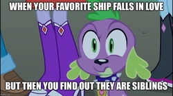 Size: 888x499 | Tagged: safe, edit, edited screencap, screencap, brawly beats, cloudy kicks, photo finish, spike, dog, equestria girls, g4, my little pony equestria girls, caption, disappointed, faic, image macro, implied incest, implied shipping, legs, looking at you, meme, spike the dog, text, wtf