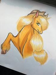 Size: 960x1280 | Tagged: safe, artist:moowowsticks, applejack, earth pony, pony, g4, cloven hooves, cowboy hat, female, hat, hoers, mare, marker drawing, photo, simple background, solo, traditional art, unshorn fetlocks, white background