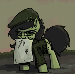 Size: 299x296 | Tagged: safe, artist:plunger, oc, oc only, oc:filly anon, earth pony, pony, angry, clothes, clover, dirt, dirty, ear fluff, female, filly, grass, hat, looking at you, military, military uniform, mouth hold, pillow, question mark, simple background, solo