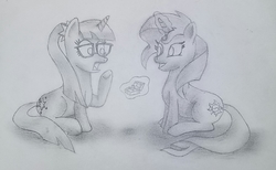 Size: 1509x930 | Tagged: safe, artist:pabrony83, sci-twi, sunset shimmer, twilight sparkle, pony, unicorn, equestria girls, g4, engagement ring, equestria girls ponified, fanfic art, female, glasses, happy, lesbian, marriage proposal, monochrome, ponified, ponytail, smiling, surprised, unicorn sci-twi