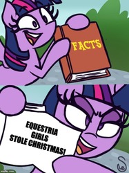 Size: 500x667 | Tagged: safe, artist:quarium edits, twilight sparkle, alicorn, equestria girls, equestria girls specials, g4, my little pony equestria girls: better together, my little pony equestria girls: holidays unwrapped, book, caption, exploitable meme, female, image macro, joke, meme, solo, text, twilight sparkle (alicorn), twilight's fact book