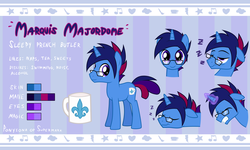 Size: 4134x2480 | Tagged: safe, artist:earth_pony_colds, oc, oc only, oc:marquis majordome, pony, unicorn, cutie mark, glasses, glowing horn, horn, male, reference sheet, show accurate, sleeping, stallion, zzz