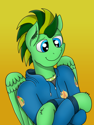 Size: 3024x4032 | Tagged: safe, artist:tacomytaco, oc, oc only, oc:taco.m.tacoson, pegasus, pony, bipedal, clothes, crossed arms, gradient background, hoodie, male, shirt, solo