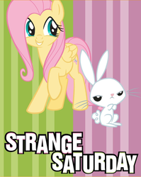 Size: 1440x1806 | Tagged: safe, angel bunny, fluttershy, pegasus, pony, rabbit, g4, official, she talks to angel, animal, body swap, duo, female, freaky friday, male, mare, parody, strange saturday