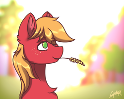 Size: 1360x1080 | Tagged: safe, artist:chebypattern, big macintosh, earth pony, pony, g4, bust, happy, male, simple background, smiling, soft color, solo, stallion, straw in mouth