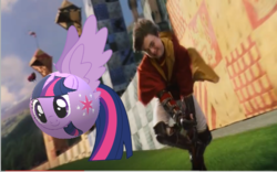 Size: 554x345 | Tagged: safe, artist:vanny22ify, twilight sparkle, alicorn, human, pony, g4, ball, broom, crossover, female, flying, golden snitch, harry potter, harry potter (series), inanimate tf, male, mare, morph ball, quidditch, transformation, twiball, twilight sparkle (alicorn)
