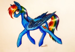 Size: 4250x2962 | Tagged: safe, artist:cahandariella, rainbow dash, pegasus, pony, g4, colored pencil drawing, female, mare, solo, traditional art