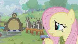 Size: 1600x900 | Tagged: safe, screencap, fluttershy, harry, smoky, smoky jr., softpad, bear, pony, raccoon, g4, she talks to angel, beach chair, chair, female, forest, mare, stool, sweet feather sanctuary