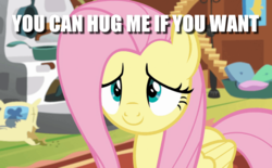 Size: 1022x634 | Tagged: safe, edit, edited screencap, screencap, fluttershy, pegasus, pony, fluttershy leans in, g4, bronybait, caption, cute, daaaaaaaaaaaw, female, hnnng, hug request, image macro, lidded eyes, mare, shyabetes, solo, sweet dreams fuel, text, this will end in cuddles, this will end in snuggles