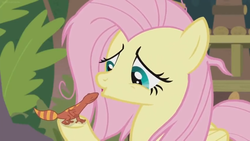 Size: 1600x900 | Tagged: safe, screencap, fluttershy, fire lizard, gecko, lizard, pegasus, pony, g4, she talks to angel, bags under eyes, duo, female, frazzled, mare, sweet feather sanctuary, tired