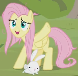 Size: 920x900 | Tagged: safe, screencap, angel bunny, fluttershy, pegasus, pony, rabbit, g4, she talks to angel, animal, cropped, duo, female, frazzled, male, mare, tired, unamused