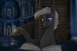Size: 5400x3600 | Tagged: safe, artist:violettacamak, oc, oc only, oc:sparrow, earth pony, pony, book, bookshelf, candle, library, night, reading, solo