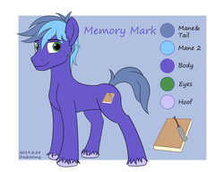 Size: 3000x2300 | Tagged: safe, artist:dash wang, oc, oc only, oc:memory mark, pony, high res, male, reference sheet, solo, stallion