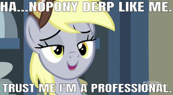 Size: 638x350 | Tagged: safe, edit, edited screencap, editor:undeadponysoldier, screencap, derpy hooves, pegasus, pony, best gift ever, g4, caption, female, image macro, mare, professional, professionalism, smiling, solo, talking to viewer, text