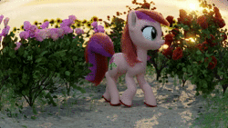Size: 1920x1080 | Tagged: safe, artist:gabe2252, roseluck, earth pony, pony, g4, 3d, animated, blender, female, flower, looking at you, no sound, rose, webm