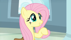 Size: 1600x900 | Tagged: safe, screencap, fluttershy, pegasus, pony, daring doubt, g4, cute, female, mare, open window, saddle bag, shyabetes, smiling, solo