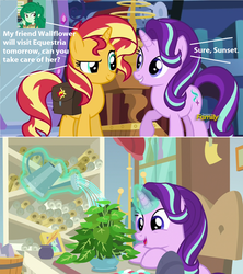 Size: 1280x1444 | Tagged: safe, edit, edited screencap, screencap, phyllis, starlight glimmer, sunset shimmer, wallflower blush, a horse shoe-in, equestria girls, equestria girls series, equestria girls specials, forgotten friendship, g4, mirror magic, comic, plant, screencap comic, species swap, wallflower is a plant, wallflowerbuse, we are going to hell