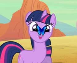 Size: 339x280 | Tagged: safe, edit, edited screencap, screencap, twilight sparkle, butterfly, pony, unicorn, g4, my little pony: friendship is magic, the last roundup, cute, female, solo, twiabetes