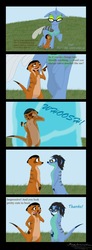 Size: 770x2100 | Tagged: safe, artist:megaanimationfan, oc, oc only, oc:shauku, oc:stainless key, changedling, changeling, meerkat, blue changeling, changedling oc, changeling oc, comic, compliment, copying, dialogue, disguise, disguised changeling, duo, field, glasses, grass, grass field, happy, non-pony oc, onomatopoeia, shapeshifting, signature, smiling, text, transformation, transformed, walking