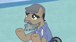 Size: 1600x900 | Tagged: safe, screencap, doctor caballeron, earth pony, pony, daring doubt, g4, clothes, disguise, fake beard, flat cap, groom q.q. martingale, hat, jacket, male, newsboy hat, pretend, sad eyes, stallion