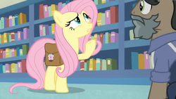 Size: 1600x900 | Tagged: safe, screencap, fluttershy, earth pony, pegasus, pony, daring doubt, g4, book, bookshelf, bookstore, clothes, disguise, duo, fake beard, female, george r.r. martin, groom q.q. martingale, jacket, male, mare, saddle bag, shelf, stallion, thinking