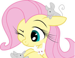 Size: 900x703 | Tagged: safe, artist:constellite, artist:prettypinkpony, fluttershy, mouse, pony, g4, bust, cute, female, floppy ears, impossibly long eyelashes, long eyelashes, mare, one eye closed, portrait, shyabetes, simple background, solo, transparent background, vector