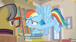 Size: 1600x896 | Tagged: safe, screencap, a.k. yearling, rainbow dash, pegasus, pony, daring doubt, g4, book, bookshelf, door, duo, duo female, female, flying, glasses, ladder, mare, shelf, worried