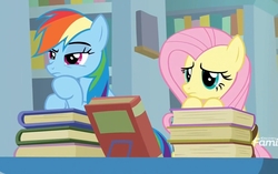 Size: 1510x947 | Tagged: safe, screencap, fluttershy, rainbow dash, pegasus, pony, daring doubt, g4, book, cropped, discovery family logo, duo