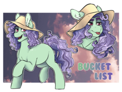 Size: 4000x3000 | Tagged: safe, artist:jeshh, oc, oc only, oc:bucket list, earth pony, pony, female, hat, mare, solo