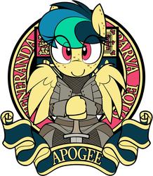 Size: 2165x2480 | Tagged: safe, artist:shinodage, oc, oc only, oc:apogee, pegasus, pony, armor, cute, emblem, eye clipping through hair, female, filly, high res, latin, looking at you, medieval, solo, sword, weapon
