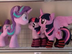 Size: 2048x1536 | Tagged: safe, artist:nekokevin, starlight glimmer, twilight sparkle, alicorn, pony, unicorn, series:nekokevin's glimmy, g4, 4de, clothes, female, irl, looking at each other, mare, photo, plushie, self ponidox, shrunken pupils, size difference, smiling, socks, spread wings, starlight's little twibird, striped socks, twilight sparkle (alicorn), twolight, wings