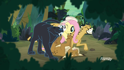Size: 1920x1080 | Tagged: safe, screencap, fluttershy, big cat, bobcat, cat, cheetah, lynx, panther, pegasus, pony, daring doubt, g4, ahuizotl's cats, animal, cheek squish, cuddle puddle, cuddling, discovery family logo, eyes closed, female, hat, jungle, kitten, mare, nuzzling, squishy cheeks, that pony sure does love animals