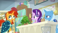 Size: 1920x1080 | Tagged: safe, screencap, phyllis, starlight glimmer, sunburst, trixie, pony, unicorn, a horse shoe-in, g4, clothes, female, geode, glasses, male, mare, robe, stallion, sunburst's cloak, sunburst's glasses
