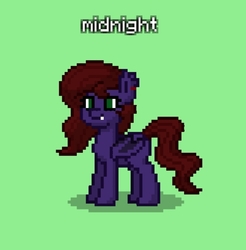 Size: 649x659 | Tagged: safe, oc, oc only, oc:midnight curf, bat pony, pony, pony town, solo