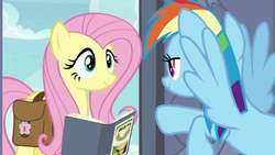 Size: 1920x1080 | Tagged: safe, screencap, fluttershy, rainbow dash, pony, daring doubt, g4, book, daring do and the fallen idol, saddle bag
