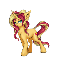Size: 1500x1500 | Tagged: safe, artist:coldtrail, sunset shimmer, pony, unicorn, g4, cheek fluff, chest fluff, ear fluff, female, leg fluff, looking at you, mare, simple background, solo, transparent background, unshorn fetlocks