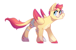 Size: 1099x727 | Tagged: safe, artist:torusthescribe, oc, oc only, oc:stage canary, pegasus, pony, glasses, male, prosthetics, simple background, solo, stallion, transparent background, two toned wings, wings