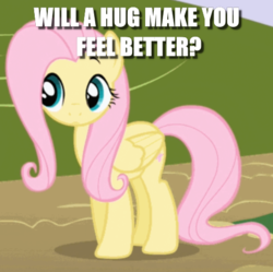 Size: 496x495 | Tagged: safe, edit, edited screencap, screencap, fluttershy, pony, friendship is magic, g4, bronybait, caption, cropped, cute, feel better, female, hug, image macro, question, shyabetes, solo, text