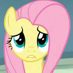 Size: 1080x1080 | Tagged: safe, screencap, fluttershy, pegasus, pony, daring doubt, g4, cropped, cute, female, lip bite, looking at you, mare, sad, sadorable, shyabetes, solo
