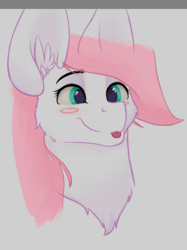 Size: 752x1007 | Tagged: safe, artist:catanddogsoup, oc, oc only, pony, :p, blushing, bust, cheek fluff, ear fluff, portrait, smiling, solo, tongue out