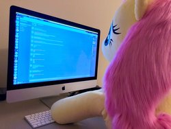 Size: 1280x960 | Tagged: safe, artist:natureshy, artist:qtpony, fluttershy, pony, g4, computer, cute, discord (program), faux fur, female, fluffy, irl, life size, photo, plushie, shyabetes, typing