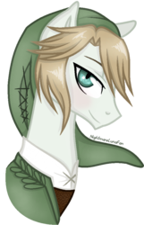 Size: 621x965 | Tagged: safe, artist:nightmarelunafan, pony, crossover, link, ponified, simple background, the legend of zelda, the legend of zelda: twilight princess, transparent background