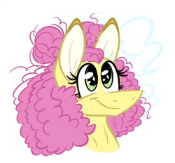 Size: 915x849 | Tagged: safe, artist:summer-cascades, li'l cheese, earth pony, pony, g4, season 9, the last problem, bust, curly hair, female, smiling, solo