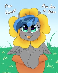 Size: 768x965 | Tagged: safe, artist:littlebibbo, oc, oc only, oc:bibbo, pegasus, pony, blue sky, blushing, clothes, costume, flower, flower pot, freckles, grass, looking at you, sparkly eyes, text, tongue out