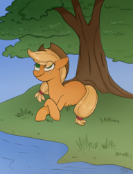 Size: 2000x2600 | Tagged: safe, artist:leslers, applejack, earth pony, pony, g4, colored pupils, eye clipping through hair, female, grass, high res, lake, mare, prone, river, solo, tree