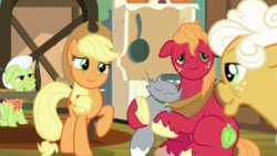 Size: 1920x1080 | Tagged: safe, screencap, applejack, big macintosh, goldie delicious, granny smith, cat, g4, going to seed