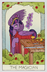 Size: 2284x3508 | Tagged: safe, artist:cuttledreams, twilight sparkle, alicorn, pony, pony pov series, g4, big crown thingy, coin, dagger, element of magic, fanfic art, female, high res, jewelry, money, regalia, solo, sword, tarot card, twilight sparkle (alicorn), weapon