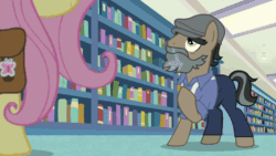 Size: 640x360 | Tagged: safe, screencap, a.k. yearling, daring do, doctor caballeron, fluttershy, earth pony, pegasus, pony, daring doubt, g4, animated, book, bookshelf, disguise, female, gif, male, mare, stallion, we don't normally wear clothes