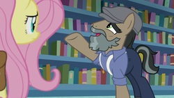 Size: 1920x1080 | Tagged: safe, screencap, doctor caballeron, fluttershy, earth pony, pegasus, pony, daring doubt, g4, book, bookshelf, disguise, duo, fake beard, female, groom q.q. martingale, male, mare, stallion
